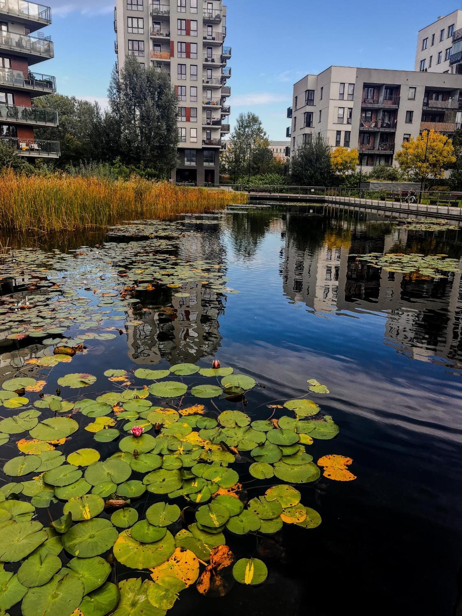 Lake Park Apartament With Free Parking Airport Netflix Apartamento Varsóvia Exterior foto